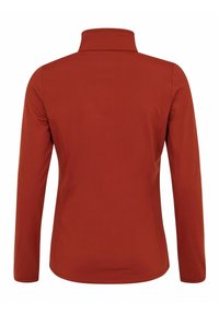 Langsleeve pullover in roestkleur, met een hoge kraag en gladde, lichte stof. Het heeft een eenvoudige, effen kleur zonder versieringen.