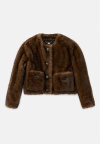CROPPED JACKET - Vinterjacka - dark brown