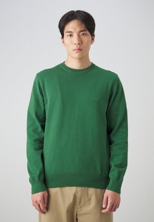 Maglione verde lavorato a maglia con scollatura rotonda e maniche lunghe. Presenta una leggera personalizzazione sul petto, con una texture liscia e morbida.