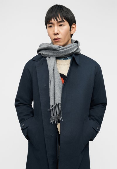 Σκούρο μπλε παλτό με κουμπιά μπροστά και τσέπες, σε συνδυασμό με γκρι πλεκτό κασκόλ με φούντες. Φόρεμα με υφή ορατό από κάτω.