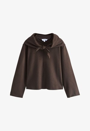Next, COSY SOFT TOUCH CREW NECK - Džemper - chocolate brown