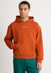 Felpa con cappuccio color ruggine, dotata di tasca a marsupio e piccolo logo bianco "Calvin Klein" sul petto. Tessuto morbido, vestibilità comoda, polsini a costine.