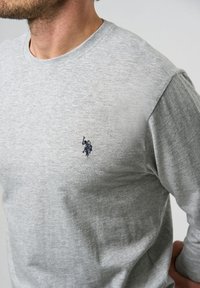 U.S. Polo Assn. ARCHI - Džemperis - grey melange