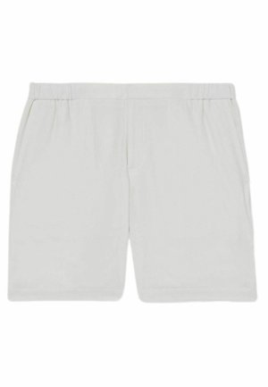 Lichtgrijze shorts met een gladde textuur, elastische tailleband en zijzakken. Het ontwerp is eenvoudig en rechtlijnig.