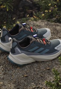 Pair of gray and beige Adidas Terrex hiking shoes with black laces and red and blue lace locks on rocky ground with green plants.