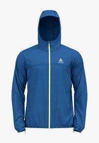 Selected, limoges sharp green