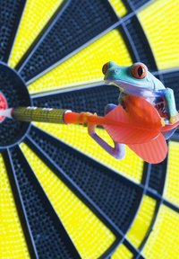 Flèche colorée avec un vol rouge et orange, mettant en scène une grenouille verte et bleue perchée dessus, sur fond de cible noir et jaune.