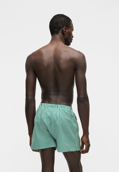 Άνδρας με σκούρο δέρμα, γυρισμένος με την πλάτη, φοράει πράσινα και λευκά κατακόρυφα ριγέ σορτς, πάνω σε απλό γκρι φωτεινό φόντο.