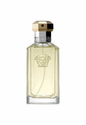 VERSACE THE DREAMER EDT 100ML - Eau de toilette - blue