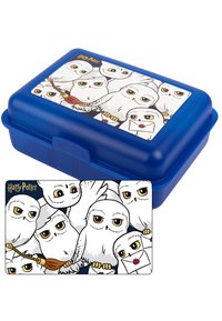 Lunch box di plastica blu con coperchio, decorata con un design stampato di gufi dei cartoni animati, alcuni dei quali tengono delle lettere, con la scritta "Harry Potter" in alto.