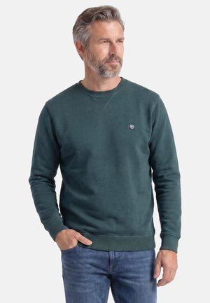 Mand med gråt hår og skæg iført en mørkegrøn langærmet sweatshirt og blå jeans, stående med den ene hånd i lommen.