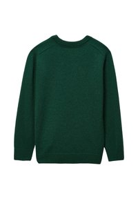 Pull en maille verte avec des manches longues, un col rond et des bordures côtelées. La texture semble douce et lisse, avec une couleur unie.