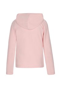 Felpa con cappuccio di colore rosa chiaro con maniche lunghe, realizzata in un morbido tessuto. Presenta un cappuccio arrotondato e un semplice design della schiena senza cuciture.