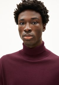 Bordeauxfarbener Rollkragenpullover aus weichem Material, mit einem schmalen Kragen und glatter Textur, der ein klares und einfaches Design präsentiert.