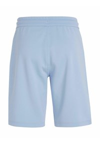 Calvin Klein MICRO LOGO REPREVE - Pantalones deportivos - bleu