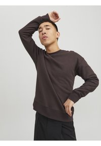 Jack & Jones JJESTAR CREW NECK - Sudadera - seal brown