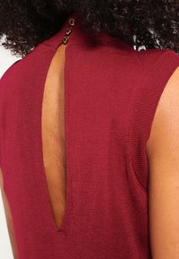 Ivyrevel Trui - dark red