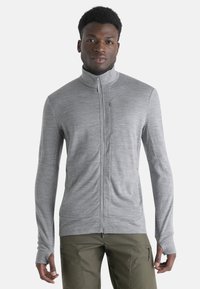 Icebreaker - MERINO 260 MID WEIGHT QUANTUM ZIP - Vetoketjullinen college - MEDIUM GREY Pienoiskuva 1