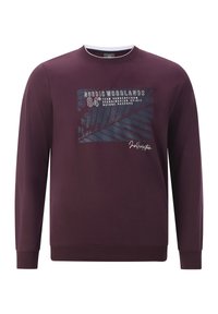 Maroon sweatshirt with long sleeves, featuring a leaf graphic and text design on the front. Crew neckline and ribbed cuffs.