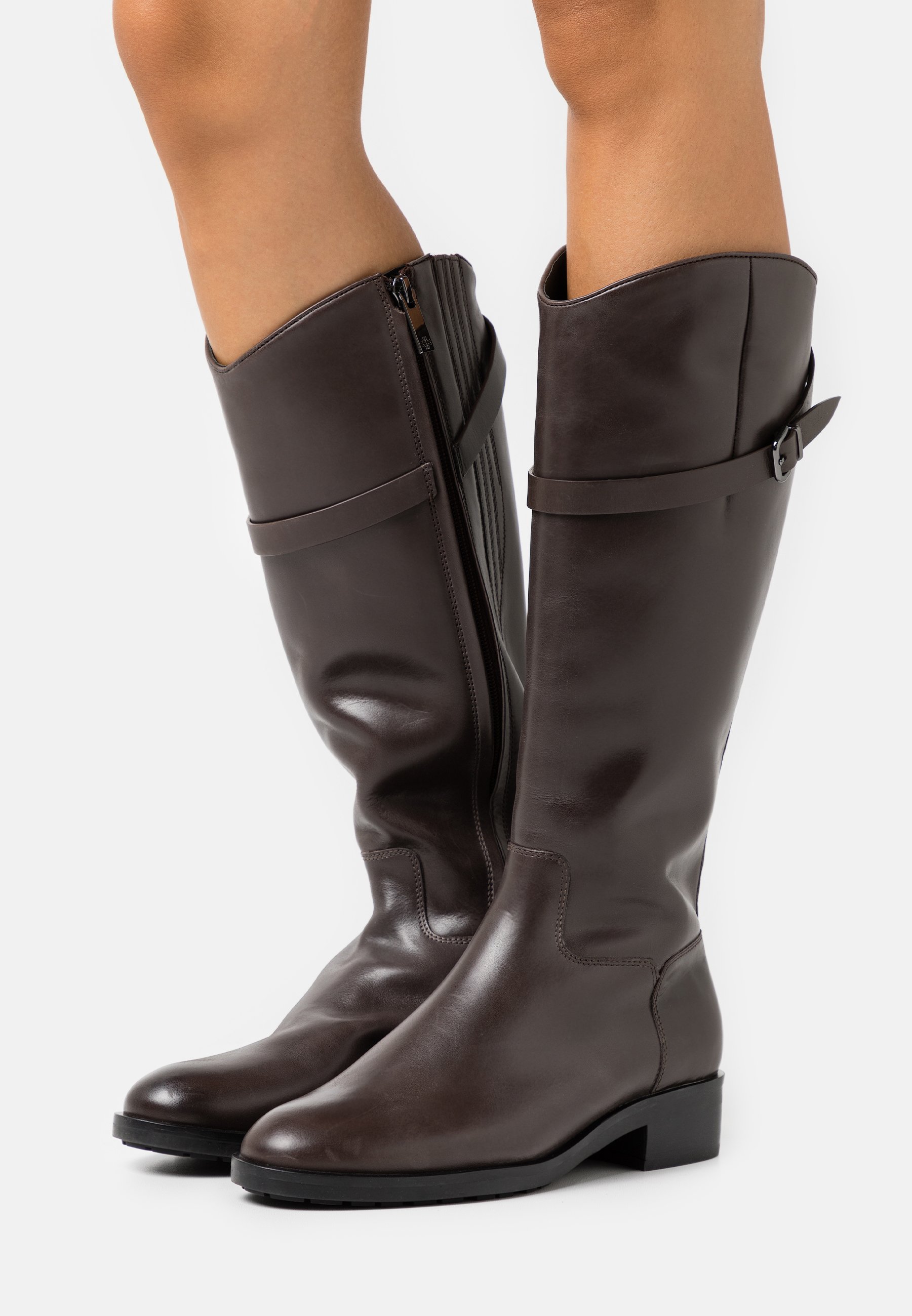 hogl bottes