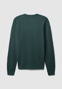 Maglione a maglia verde scuro con scollatura rotonda, maniche lunghe e finitura testurizzata. Presenta orlo e polsini a coste. Vista posteriore visualizzata.