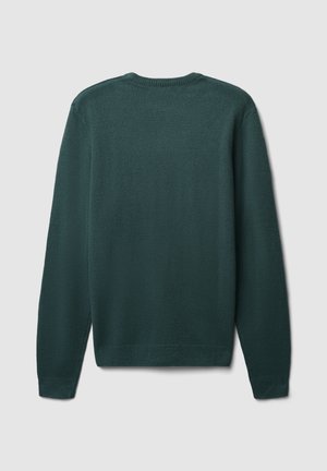 Maglione a maglia verde scuro con scollatura rotonda, maniche lunghe e finitura testurizzata. Presenta orlo e polsini a coste. Vista posteriore visualizzata.