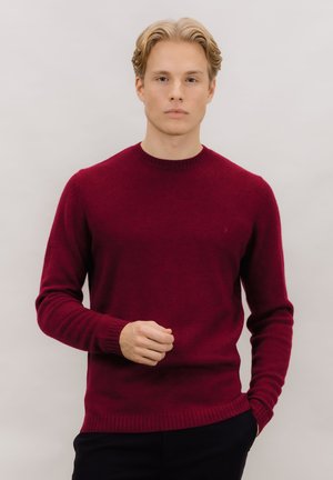 SWEATER HASSE - Strikkegenser - wine