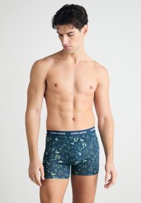 Tumši jūras zila boxer stila apakšbikses ar zaļu lapu rakstu. Izgatavotas no elastīga auduma ar mīkstu elastīgu jostu, uz kuras ir norādīts "BJÖRN BORG."