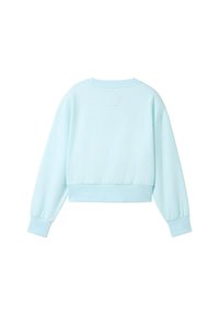 Felpa corta di colore azzurro chiaro con polsini e orlo a coste, scollo rotondo e un dettaglio a toppa quadrata sulla parte superiore della schiena. Tessuto morbido.
