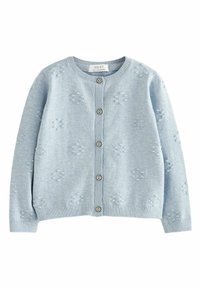 Next - FLOWER BOBBLE REGULAR FIT - Chaqueta de punto - light blue Imagen en miniatura 1