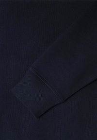 Pepe Jeans UNION JACK - Sweater - dulwich blue