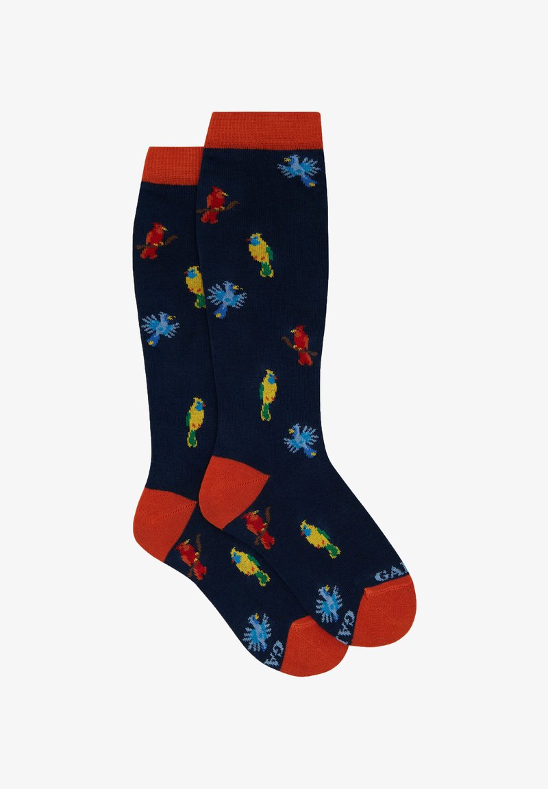 Calzini di cotone con sfondo blu navy e fantasie di pappagalli colorati in rosso, giallo e blu, con polsini e talloni arancioni.