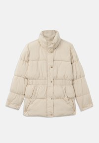 BLOUSON JACKET - Vinterkappa /-rock - cement
