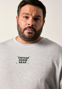 Sudadera gris claro de algodón, con un escote redondeado y un texto gráfico negro centrado que dice "VINTAGE DENIM GEAR."