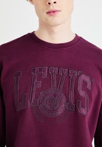 Felpa bordeaux con grafica nera in rilievo con la scritta "LEVI'S" e un logo circolare con "LEVI STRAUSS & CO." ricamato sul davanti.
