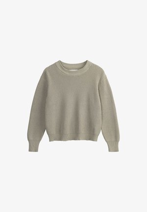 Lichtgroen gebreide trui met een ronde halslijn, lange mouwen en geribbeld textuur. Heeft een cropped zoom en een relaxte pasvorm.