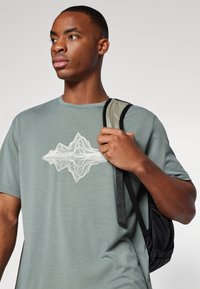 Helly Hansen SKOG GRAPHIC - Triko s potiskem - grey cactus