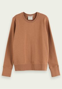 Bruine trui met een ronde hals, lange mouwen en geribbelde boorden. Glad oppervlak en een strak, eenvoudig ontwerp zonder patronen.