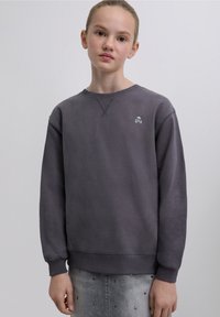 Grey sweatshirt with a round neck, long sleeves, and ribbed cuffs. Features a small skull logo in white on the chest. Soft texture.