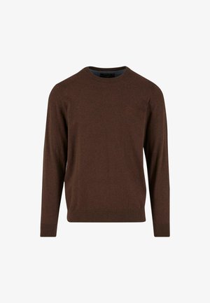 Brauner Pullover mit langen Ärmeln und Rundhalsausschnitt, aus weichem Material gefertigt. Verfügt über gerippte Bündchen und Saum sowie ein dezentes Logo auf der Brust.