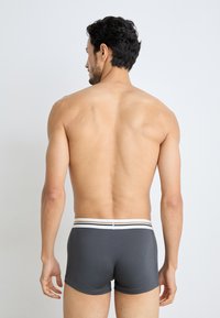 Sivé boxerské trenky s bielym a čiernym pruhovaným pásom, elastický materiál a priliehavý strih, zobrazené zozadu.