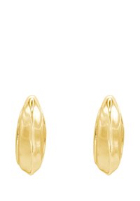 Orecchini in tonalità oro con una forma a foglia allungata e liscia. Presentano una finitura lucida e una curva sottile che esalta il loro design elegante.