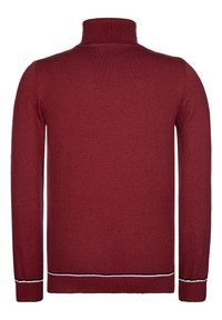 Bordowy sweter z wysokim kołnierzem, teksturowanym splotem, długimi rękawami oraz czarno-białym paskiem na dolnej krawędzi. Wyświetlony widok z tyłu.