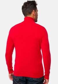 Roter Rollkragenpullover aus gestricktem Material, mit langen Ärmeln und gerippten Bündchen sowie Saum, von hinten betrachtet.