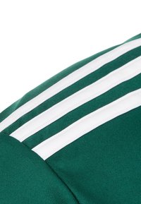 adidas Performance ENTRADA 18 FUSSBALLTRIKOT HERREN - T-shirt basique - dark green