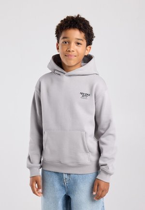 America Today, HOODIE - Sweat à capuche - grey