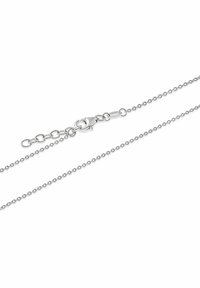 Collana in argento con chiusura a moschettone, anelli arrotondati, superficie liscia e lunghezza regolabile con link di estensione.