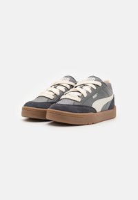Puma PARK LIFESTYLE UNISEX - Gördeszkacipők - cool dark gray/alpine snow/strong gray