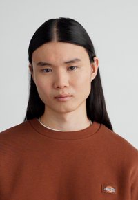 Dickies OAKPORT - Bluză de molton - cappuccino