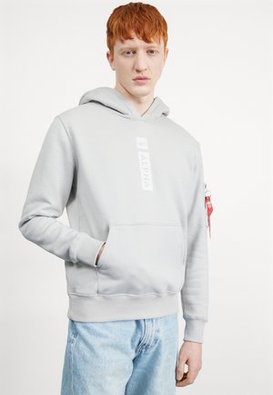 HOODY - Sweat à capuche - pastel grey